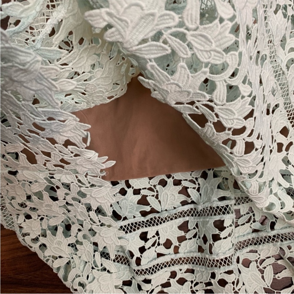 Self Portrait Azaelea Lace Midi Dress in Light Mint Green - Picture 9 of 15